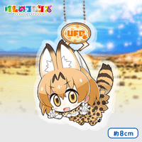 けものフレンズ UFOつままれアクリルKCM Vol.2 A.サーバル