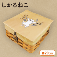 しかるねこ ふた付きBOX A.さがしもの