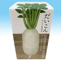 おうちで根野菜栽培セット だいこん