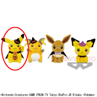 【A.ピカチュウ・】ポケットモンスター ハロウィンぬいぐるみ〜ピカチュウ・ライチュウ・イーブイ・ピチュー〜