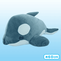 【シャチ】もちぷに水族館しゅーごー