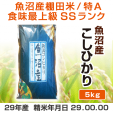 【数量限定】魚沼産こしひかり 5㎏