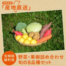 【期間限定】野菜・果樹詰め合わせ旬の8品種SET