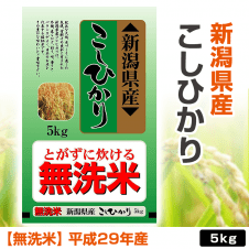 新潟県産 こしひかり 5kg 平成29年産