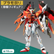 【数量限定】METAL BUILD デスティニーガンダム (ハイネ機)