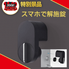 【数量限定】Qrio Lock (キュリオロック) Q-SL2