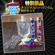 【数量限定】手作りハーバリウム入門キット