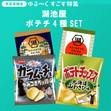 【数量限定】湖池屋ポテチ4種SET