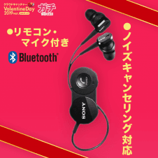 【数量限定】SONY ワイヤレスイヤホン DR-BT150NC/B