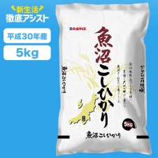 【数量限定】魚沼産 白米 コシヒカリ 5kg 平成30年産