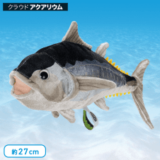 【水族館】カロラータ クロマグロ ぬいぐるみ