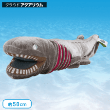 【水族館】カロラータラブカ ぬいぐるみ