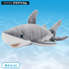 【水族館】カロラータ ホオジロザメ ぬいぐるみ