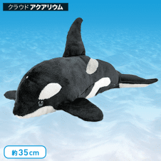 【水族館】カロラータ シャチ ぬいぐるみ