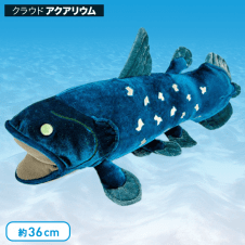 【水族館】カロラータシーラカンス ぬいぐるみ