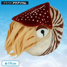 【水族館】カロラータ オウムガイ ぬいぐるみ