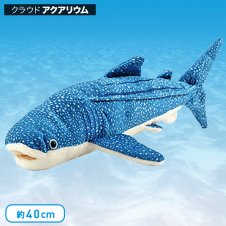 【水族館】カロラータ ジンベエザメ ぬいぐるみ