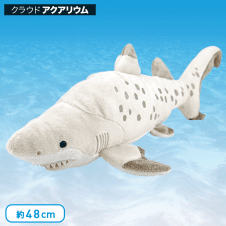 【水族館】カロラータ シロワニ ぬいぐるみ