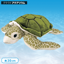 【水族館】カロラータ アオウミガメ ぬいぐるみ