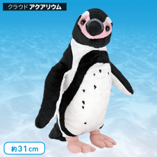 【水族館】カロラータフンボルトペンギン ぬいぐるみ