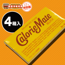 【駄菓子特別編】カロリーメイトBIGBOX チョコレート味