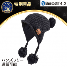 【数量限定】Bluetoothイヤホン付 ニットキャップ ブラックDタイプ