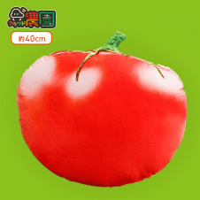 【クラウド農園】BEARS HOMEクッショントマト