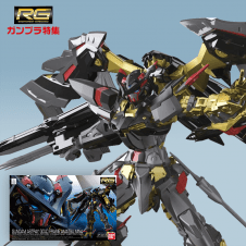 【EXvs】RG 機動戦士ガンダムSEED ASTRAY ガンダムアストレイ ゴールドフレーム天ミナ