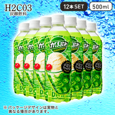 【H2CO3～炭酸飲料～】ポッカＳ がぶ飲みメロンクリームソーダ 500ml 12本セット