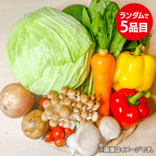 旬の野菜セット