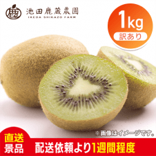 わけありキウイフルーツ1kg