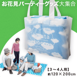 【数量限定】クッションレジャーシート
