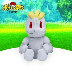 Pokémon fit ワンリキー