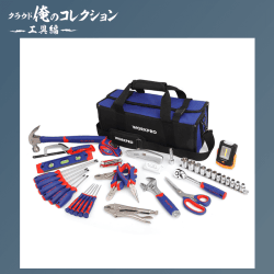 【俺コレ】 WORKPRO ホームツールセット