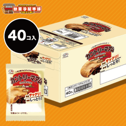 【大人買い】カントリーマアム 小袋セット バニラ