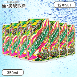 【極-炭酸飲料】ライフガード 350ml缶 (12本セット)