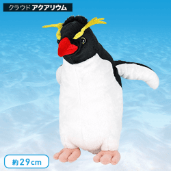 【水族館】カロラータ イワトビペンギン ぬいぐるみ