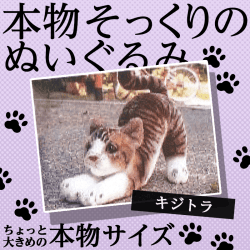 リアルな猫のぬいぐるみ 伸び キジトラ