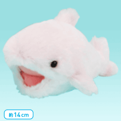 FANS サメのあかちゃんミニぬいぐるみ F.ピンク