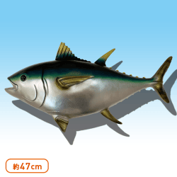 マグロソフトフィギュアBIG 緑(キハダマグロ)