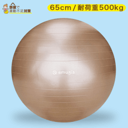 【運動不足対策】amugis バランスボール ヨガボール 65cm アンチバースト 耐荷重500KG