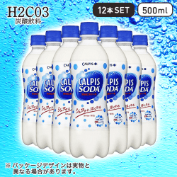 【H2CO3～炭酸飲料～】カルピスソーダ 500ml 12本セット