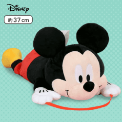 【ミッキー】ディズニーキャラクター PM2WAYティッシュボックスカバー
