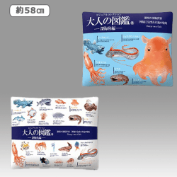 【深海魚】大人の図鑑 BIGクッション