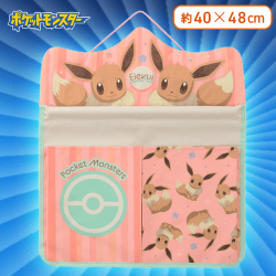 【イーブイ】ポケットモンスター PMウォールポケット〜ピカチュウ＆イーブイ〜