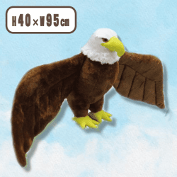 【ハクト】王者の鷲BIG