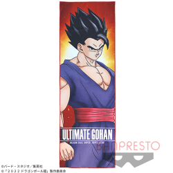 【孫悟飯】ドラゴンボール超 スーパーヒーロー ビッグタオル