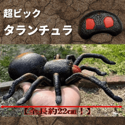 IR 超ビック タランチュラ