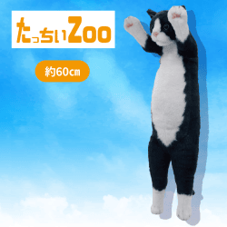 【ハチワレ】たっちぃZooにゃんこ