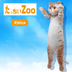 【エキゾチック】たっちぃZooにゃんこ4